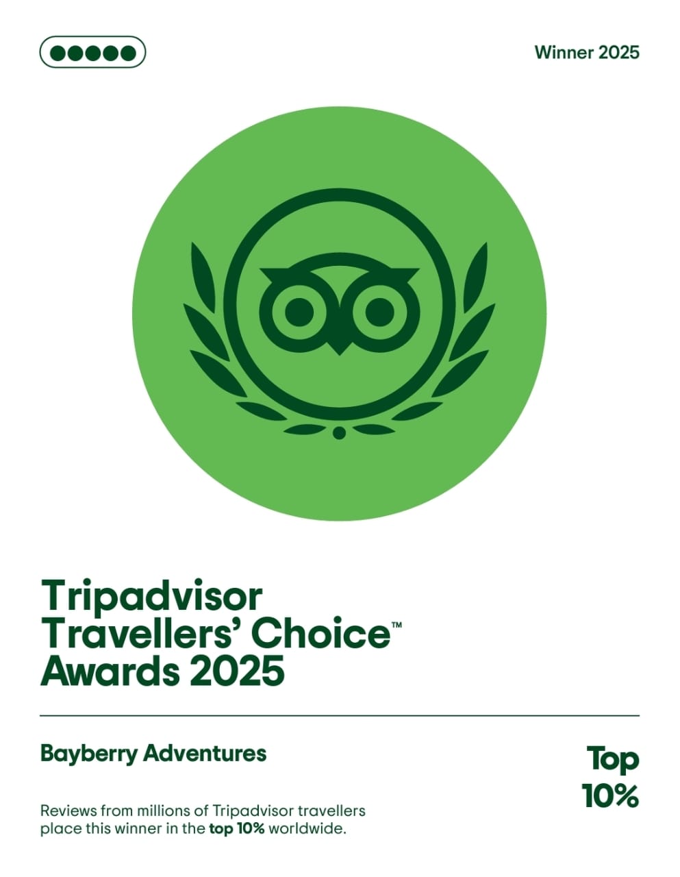 tripadvisor travellers' choice award :  2025
